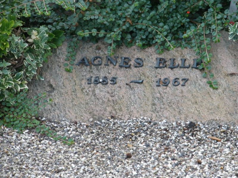 Agnes Elle.JPG
